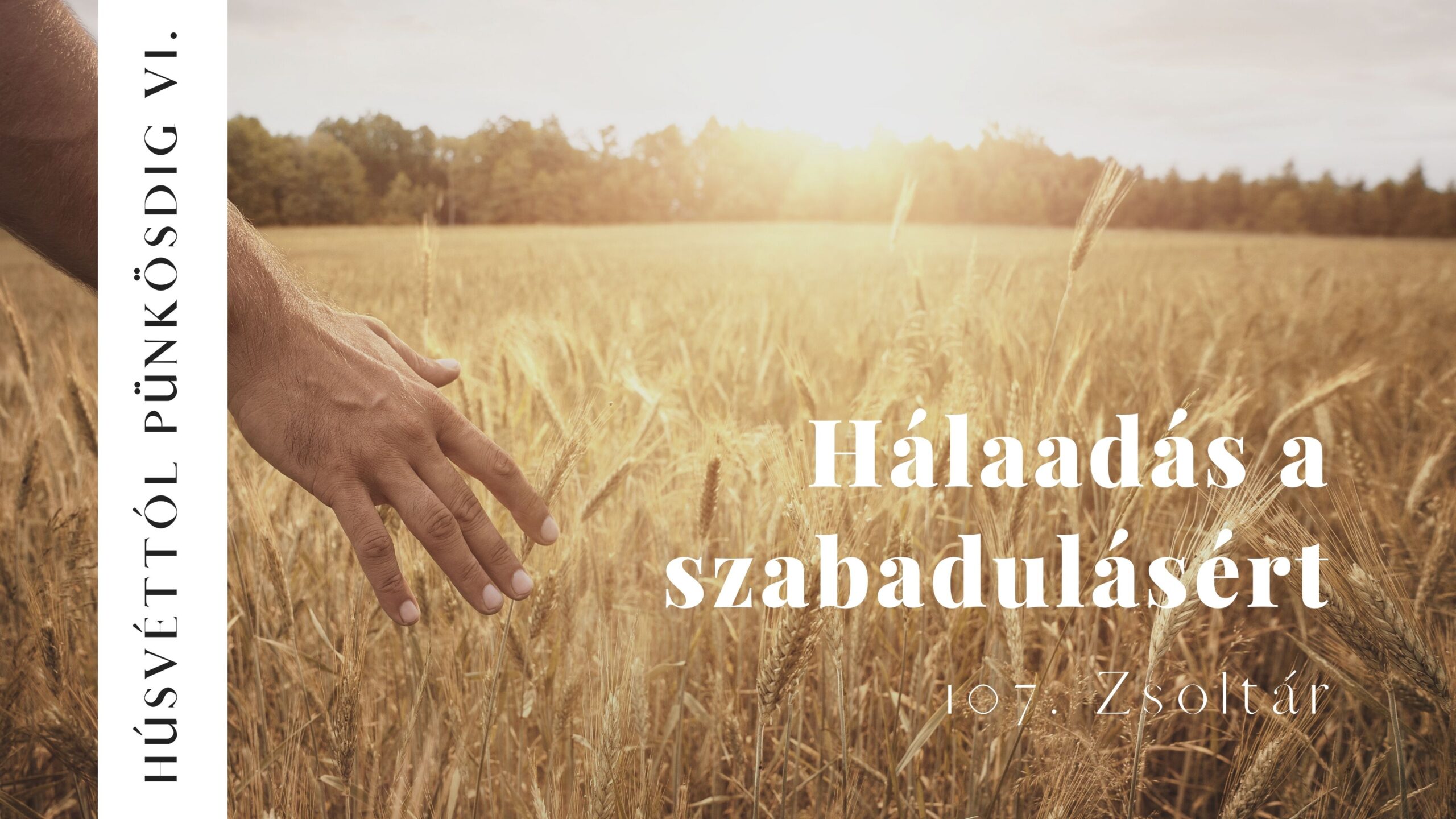 Hálaadás a szabadulásért