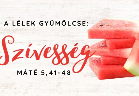 A Lélek gyümölcse: Szívesség