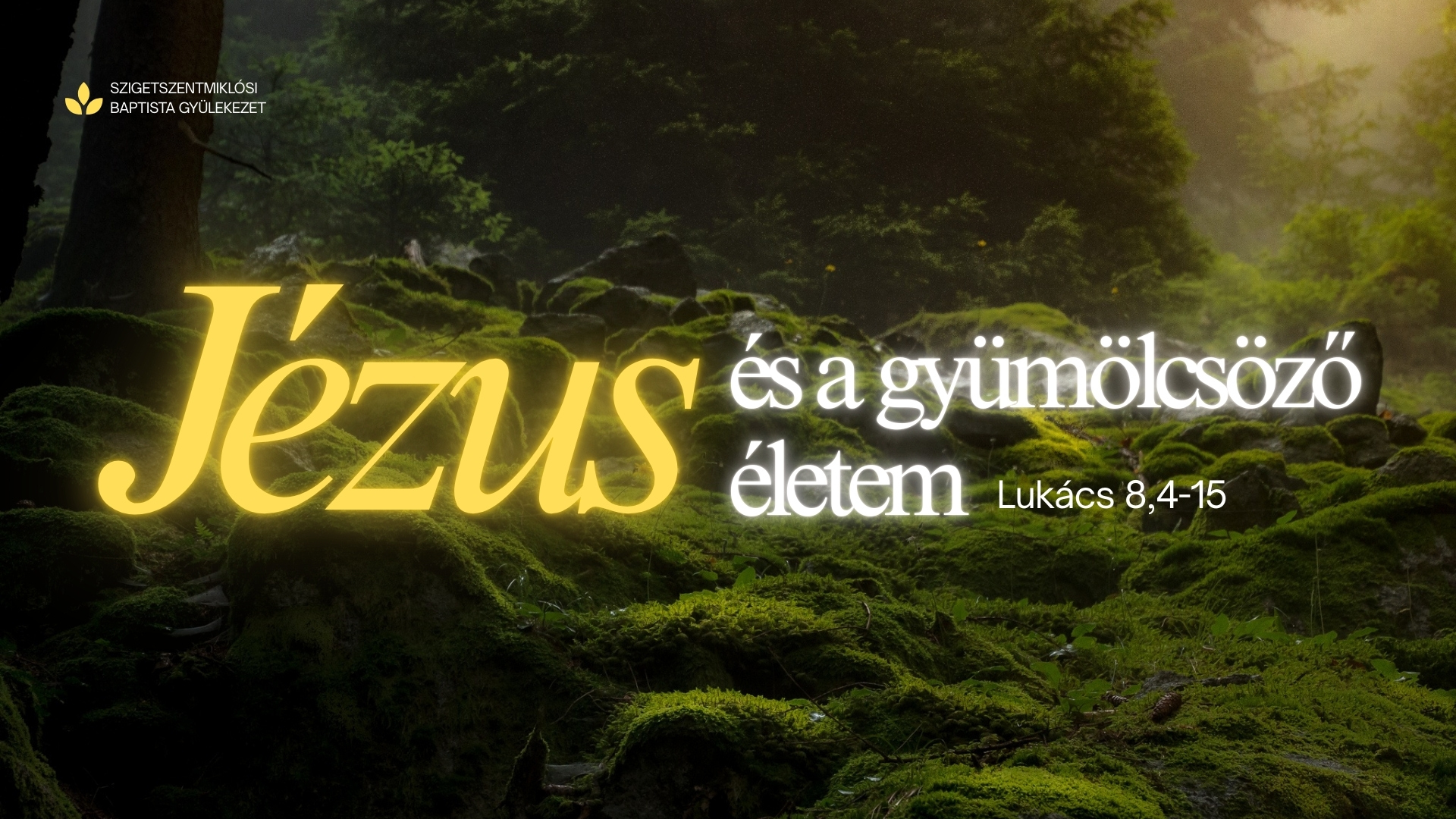 Jézus és a gyümölcsöző életem